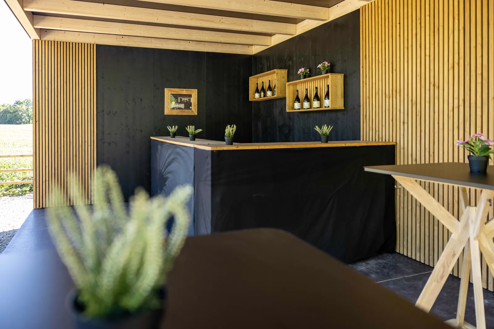 Modul Modern · Bar mit Weinregal