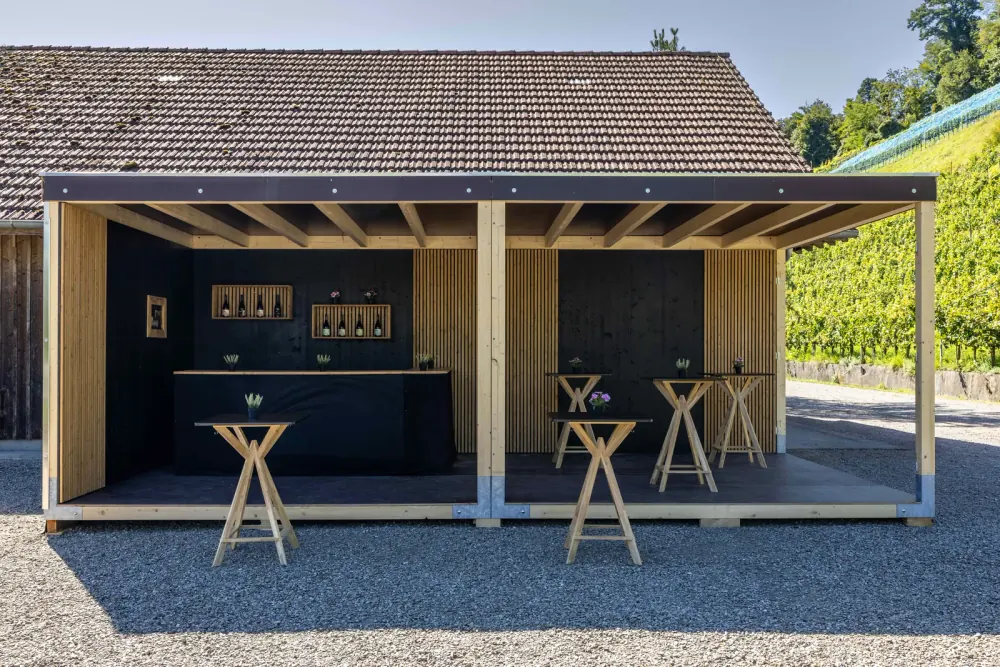 Modul Modern mit schwarzen Flächen und vertikalen Holzlamellen